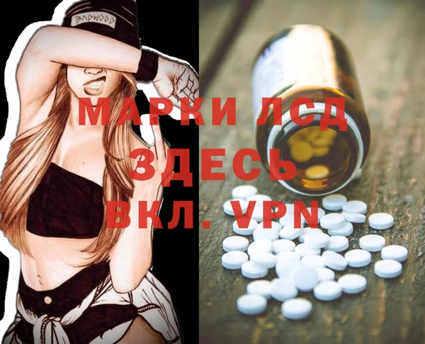 амф Володарск