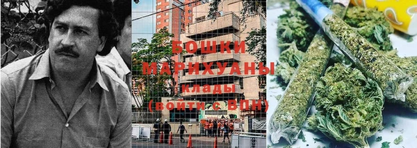 амф Володарск