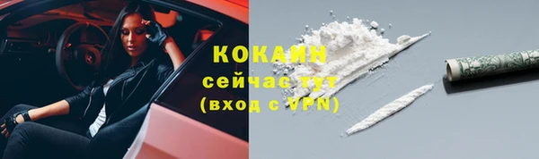 прущие крисы Вяземский